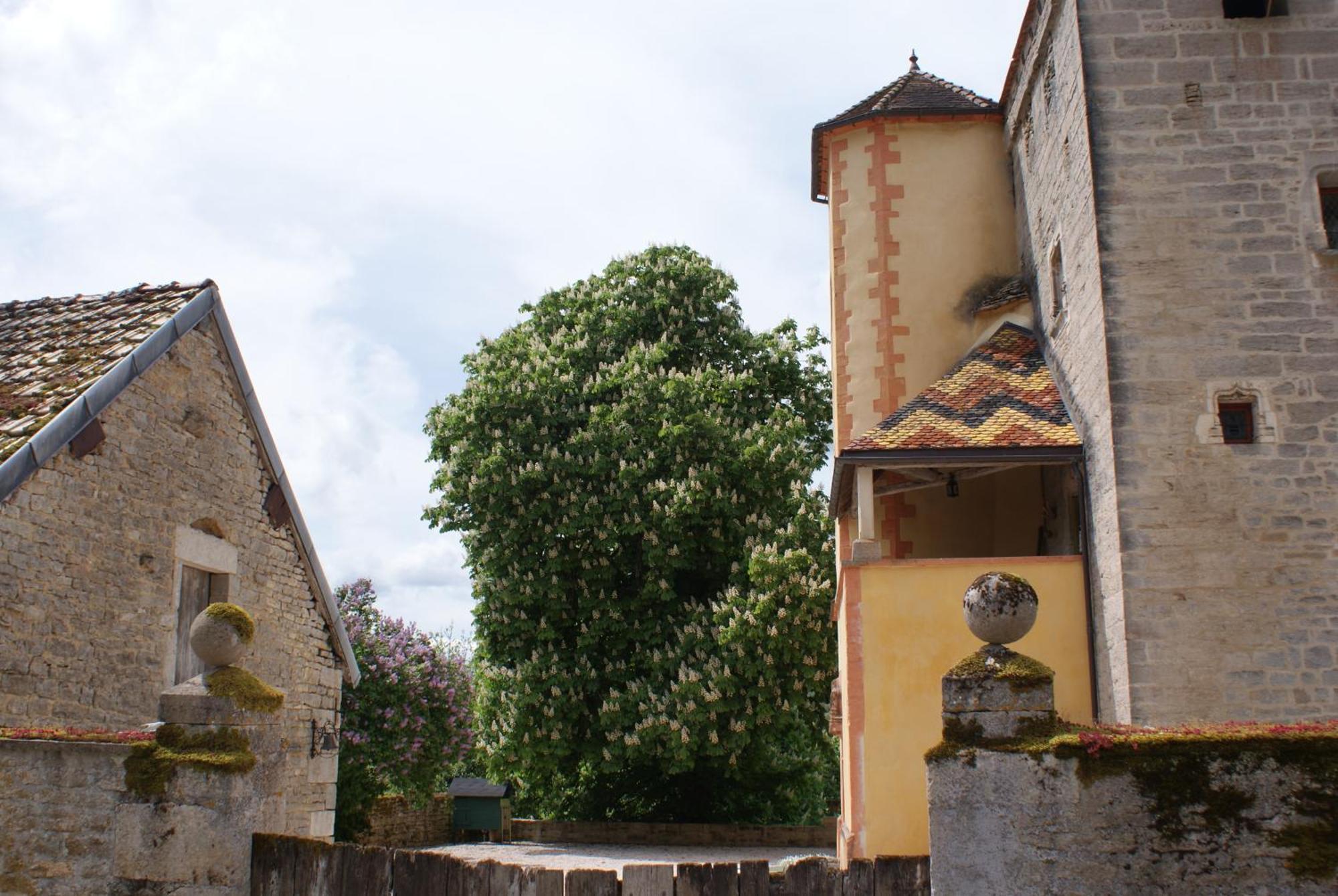 Chateau De Champrenault, Voyagez Dans Le Temps Екстериор снимка